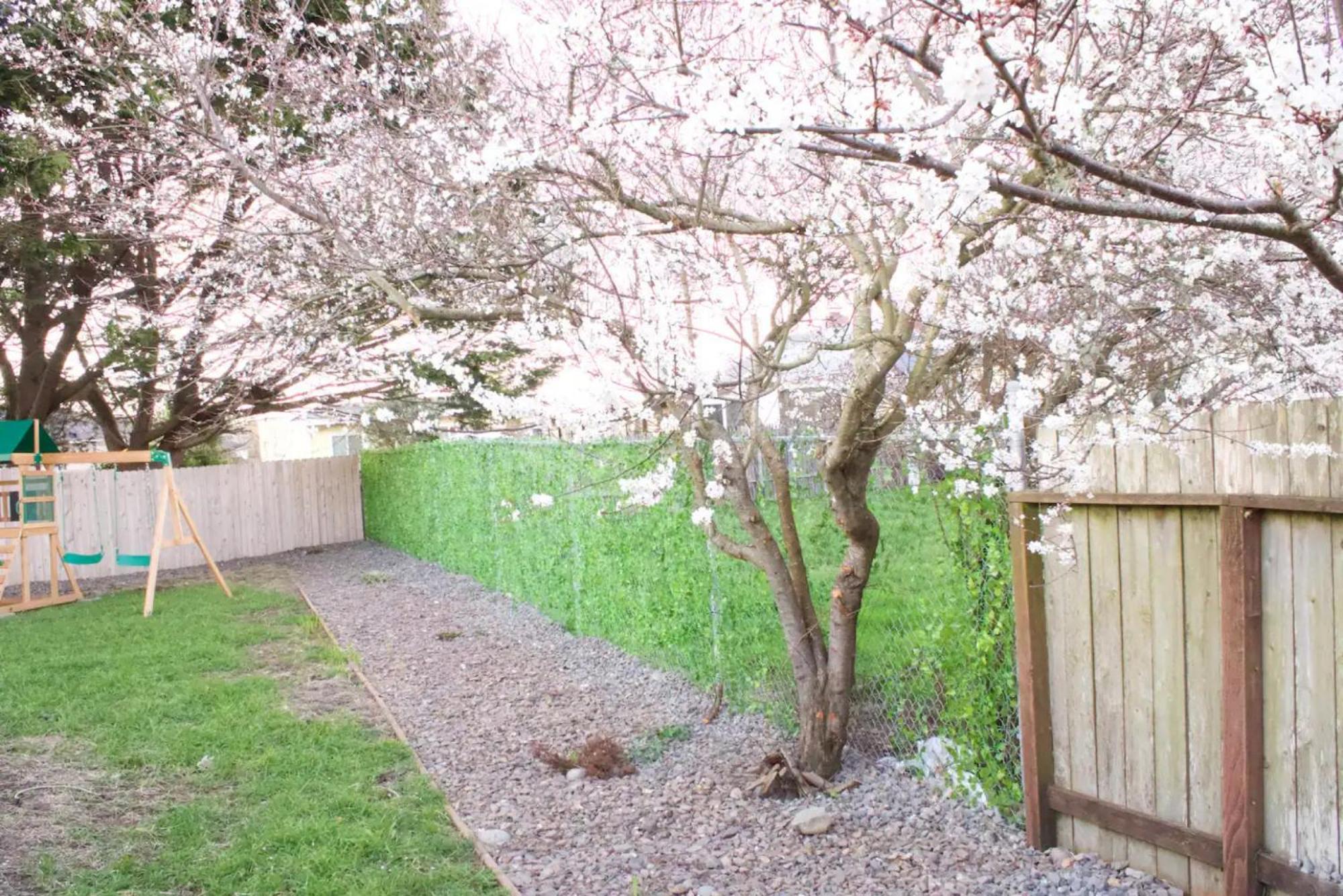 Private Home - Playground, Jumping Mat, Bbq, Darts, Firepit, Gazebo, 4 Smart Tvs, White Cotton Bedding, - The Redwood Cul-De Sac Beach Retreat Crescent City Εξωτερικό φωτογραφία